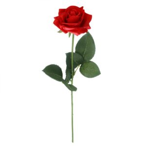 Hadiia Red Rose